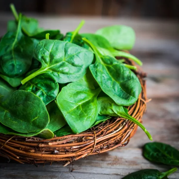 Palak (Spinach)