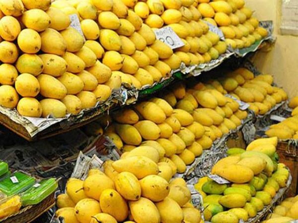Mango (Aam - Seasonal)