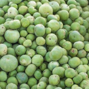 Tinda (Apple Gourd)