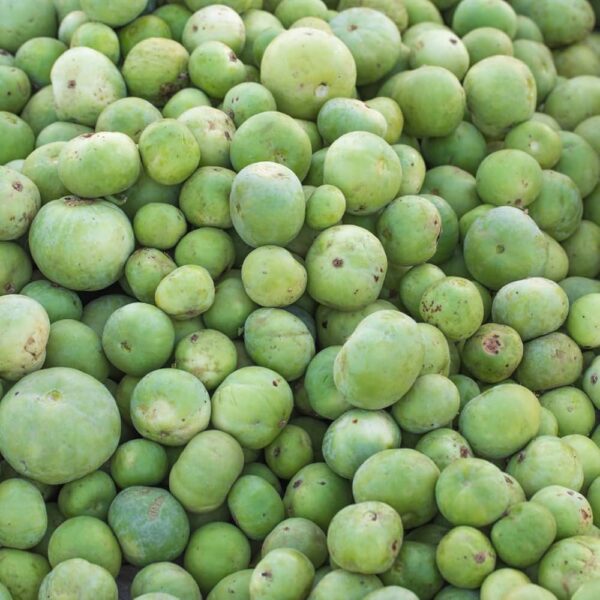 Tinda (Apple Gourd)